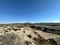 Tolles Landhaus zum Renovieren in Jumilla in Alicante Dream Homes Castalla 