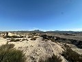 Grande maison de campagne à rénover à Jumilla in Alicante Dream Homes Castalla 