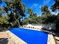 Beautiful country house with pool in Almansa in Alicante Dream Homes Castalla 