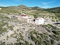 Landhuis met 5 slaapkamers en 1 badkamer in Caudete in Alicante Dream Homes Castalla 