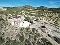 Maison de campagne de 5 chambres et 1 salle de bain à Caudete in Alicante Dream Homes Castalla 