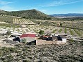 Maison de campagne de 5 chambres et 1 salle de bain à Caudete in Alicante Dream Homes Castalla 