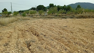 Terrain à Bâtir à Monovar