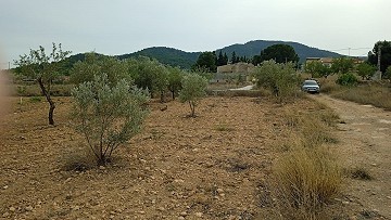 Building Plot in Monovar