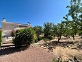 Erstaunliche Villa mit spektakulärer Aussicht in Pinoso in Alicante Dream Homes Castalla 