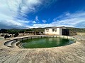 Immense Villa de 11 chambres avec piscine à Ontinyent in Alicante Dream Homes Castalla 