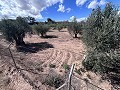 Maison de campagne à rénover à Jumilla in Alicante Dream Homes Castalla 