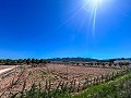 5000 Quadratmeter großes Grundstück mit unglaublicher Aussicht in Yecla in Alicante Dream Homes Castalla 