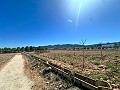 5000 square meter plot with incredible views in Yecla in Alicante Dream Homes Castalla 