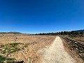 5000 square meter plot with incredible views in Yecla in Alicante Dream Homes Castalla 