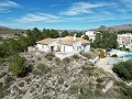 Finca met 4 slaapkamers en zwembad in Alicante Dream Homes Castalla 