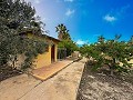 Belle villa avec piscine et 5 chambres à Sax in Alicante Dream Homes Castalla 