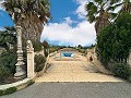 Beautiful villa with pool and 5 bedrooms in Sax in Alicante Dream Homes Castalla 