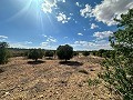 Immenses terrains à bâtir avec des vues incroyables à Yecla in Alicante Dream Homes Castalla 