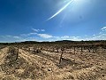 Riesige Baugrundstücke mit unglaublicher Aussicht in Yecla in Alicante Dream Homes Castalla 