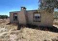 Finca de 3 chambres et 2 salles de bain à Sax avec plus de 16 000 m2 de terrain in Alicante Dream Homes Castalla 