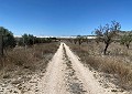 Finca met 3 slaapkamers en 2 badkamers in Sax met meer dan 16.000 m2 grond in Alicante Dream Homes Castalla 