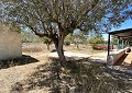 Finca de 3 chambres et 2 salles de bain à Sax avec plus de 16 000 m2 de terrain in Alicante Dream Homes Castalla 