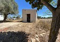 Finca mit 3 Schlafzimmern und 2 Bädern in Sax mit über 16.000 m² Land in Alicante Dream Homes Castalla 