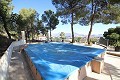 Large Villa on the outskirts of Monovar, walking distance to town in Alicante Dream Homes Castalla 