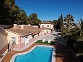 Large Villa on the outskirts of Monovar, walking distance to town in Alicante Dream Homes Castalla 