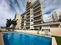 Magnificent penthouse with huge terrace in Guardamar Del Segura in Alicante Dream Homes Castalla 