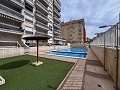 Magnificent penthouse with huge terrace in Guardamar Del Segura in Alicante Dream Homes Castalla 