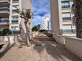 Wunderschönes Penthouse mit riesiger Terrasse in Guardamar Del Segura in Alicante Dream Homes Castalla 