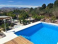 Charming villa located in La Romana in Alicante Dream Homes Castalla 