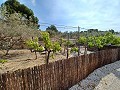 Charmante villa située à La Romana in Alicante Dream Homes Castalla 