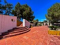 Herenhuis tussen Monóvar en Novelda in Alicante Dream Homes Castalla 