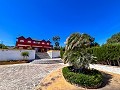 Mansion entre Monóvar y Novelda  in Alicante Dream Homes Castalla 