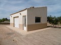 Spectaculaire villa met 6 slaapkamers en 2 badkamers en zwembad in Alicante Dream Homes Castalla 