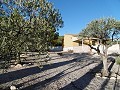 Landhuis met 2 slaapkamers en 1 badkamer met zwembad in Alicante Dream Homes Castalla 