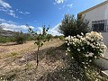 Landhuis met 3 slaapkamers en 2 badkamers in Alicante Dream Homes Castalla 