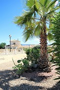 Villa met 3 slaapkamers en 2 badkamers en grote garage in Alicante Dream Homes Castalla 