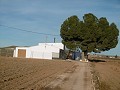 Großes Landhaus mit Pool und Weinberg in Alicante Dream Homes Castalla 