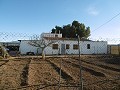 Großes Landhaus mit Pool und Weinberg in Alicante Dream Homes Castalla 