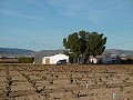 Grande Maison de Campagne avec Piscine & Vignoble in Alicante Dream Homes Castalla 