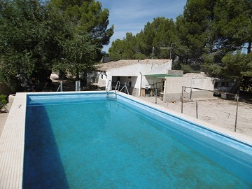 4-Schlafzimmer-Villa mit Pool in einer natürlichen Umgebung.