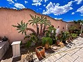 Magnifique villa avec piscine à Hondon De Los Frailes in Alicante Dream Homes Castalla 