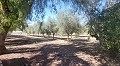 Belle Villa De Campagne Avec Piscine Et Terrain in Alicante Dream Homes Castalla 