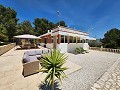 Huis met 3 slaapkamers en gastenhut met 1 bed in Alicante Dream Homes Castalla 