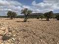 Landhuis met 4 slaapkamers, garage en zwembad in Alicante Dream Homes Castalla 