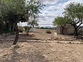 Maison de campagne avec 4 chambres, Garage et Piscine in Alicante Dream Homes Castalla 