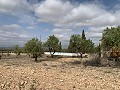 Landhuis met 4 slaapkamers, garage en zwembad in Alicante Dream Homes Castalla 