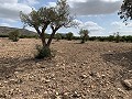 Landhuis met 4 slaapkamers, garage en zwembad in Alicante Dream Homes Castalla 