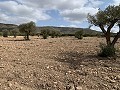 Landhuis met 4 slaapkamers, garage en zwembad in Alicante Dream Homes Castalla 