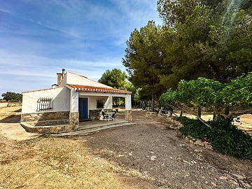 Magnífico campo con potencial de reforma en Almansa 