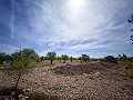 Herrliches Grundstück mit Renovierungspotenzial in Almansa in Alicante Dream Homes Castalla 